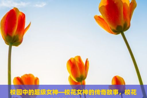 校园中的超级女神—校花女神的传奇故事，校花女神的魅力与传奇