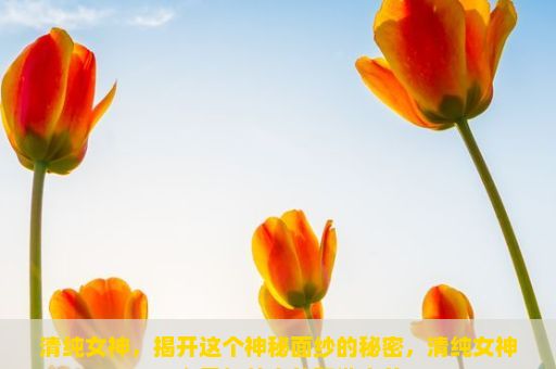 清纯女神，揭开这个神秘面纱的秘密，清纯女神，心灵与外表的和谐之美