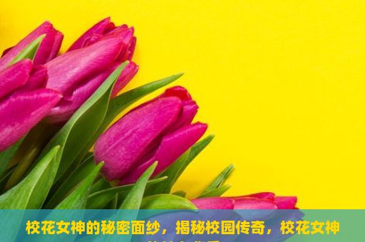 校花女神的秘密面纱，揭秘校园传奇，校花女神的魅力背后