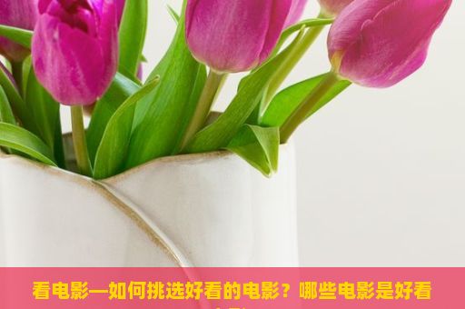 看电影—如何挑选好看的电影？哪些电影是好看电影？