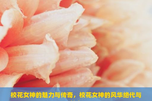 校花女神的魅力与传奇，校花女神的风华绝代与魅力