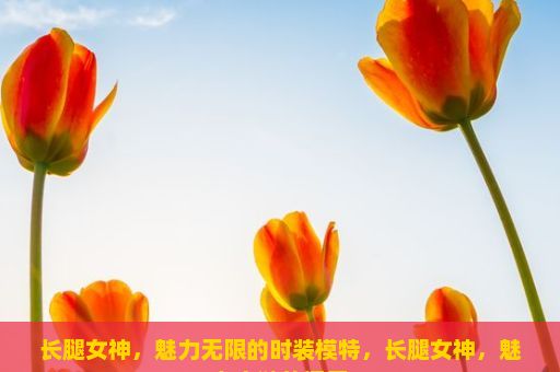 长腿女神，魅力无限的时装模特，长腿女神，魅力之谜的探索