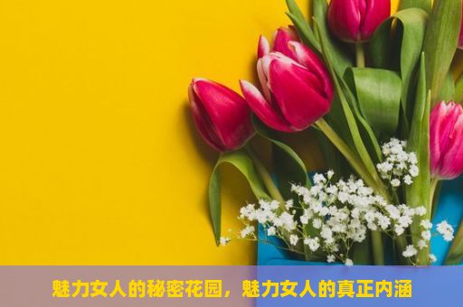 魅力女人的秘密花园，魅力女人的真正内涵