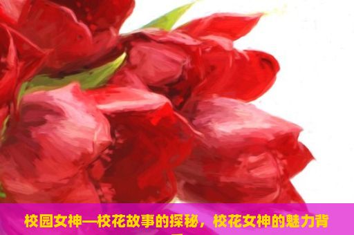 校园女神—校花故事的探秘，校花女神的魅力背后