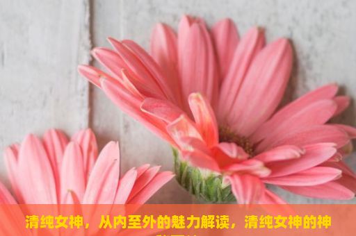 清纯女神，从内至外的魅力解读，清纯女神的神秘面纱