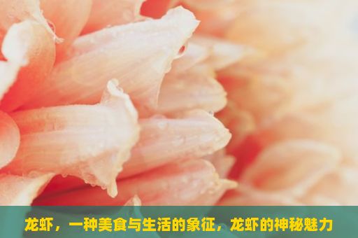 龙虾，一种美食与生活的象征，龙虾的神秘魅力，从海洋到餐桌的探索