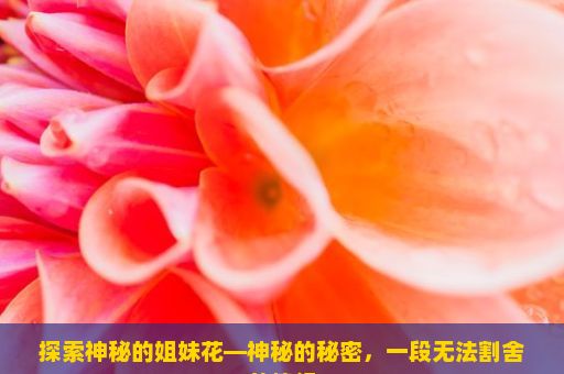 探索神秘的姐妹花—神秘的秘密，一段无法割舍的情缘