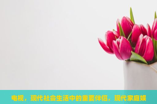 电视，现代社会生活中的重要伴侣，现代家庭娱乐的灵魂