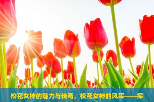 校花女神的魅力与传奇，校花女神的风采——探寻神秘面纱下的背后故事