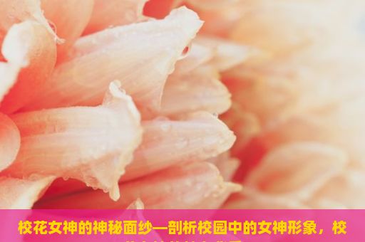 校花女神的神秘面纱—剖析校园中的女神形象，校花女神的魅力背后