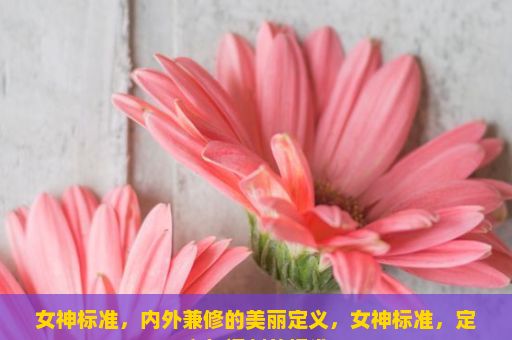 女神标准，内外兼修的美丽定义，女神标准，定义与评判的标准