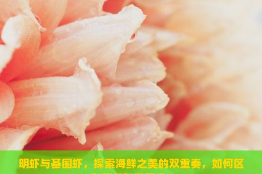明虾与基围虾，探索海鲜之美的双重奏，如何区别明虾和基围虾？