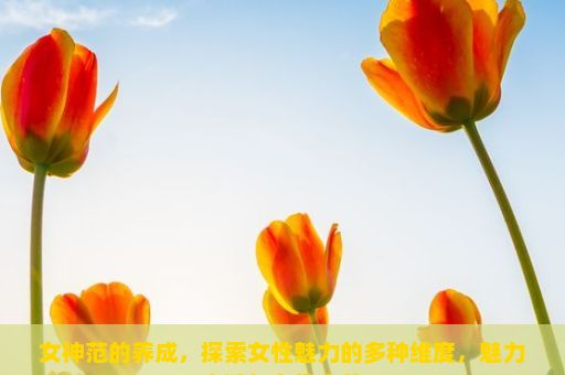 女神范的养成，探索女性魅力的多种维度，魅力之谜与女性之美