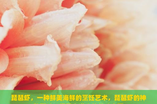 琵琶虾，一种鲜美海鲜的烹饪艺术，琵琶虾的神秘面纱，探索海洋中的美味宝藏