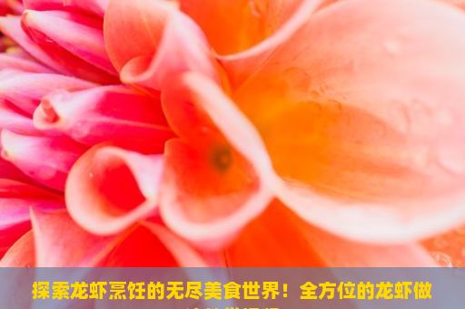 探索龙虾烹饪的无尽美食世界！全方位的龙虾做法教学视频