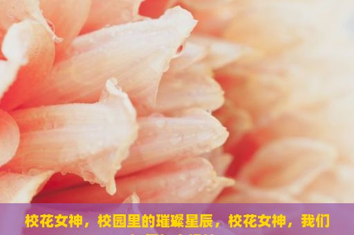 校花女神，校园里的璀璨星辰，校花女神，我们如何与之相处？