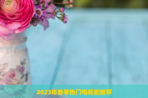 2023年春季热门电视剧推荐