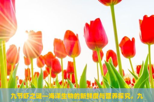 九节虾之谜—海洋生物的新鲜度与营养探究，九节虾的神秘魅力，探索海洋中的珍馐美味