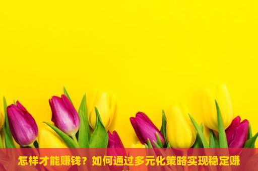 怎样才能赚钱？如何通过多元化策略实现稳定赚钱？