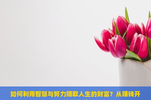 如何利用智慧与努力赚取人生的财富？从赚钱开始的技巧