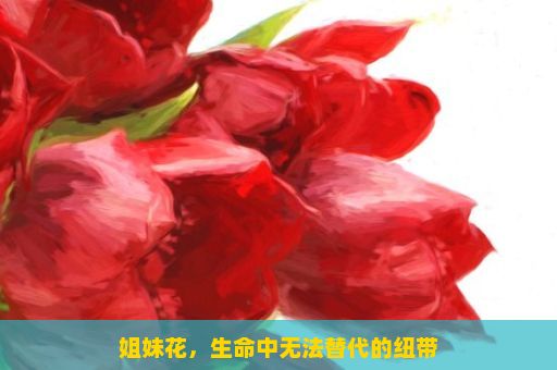 姐妹花，生命中无法替代的纽带