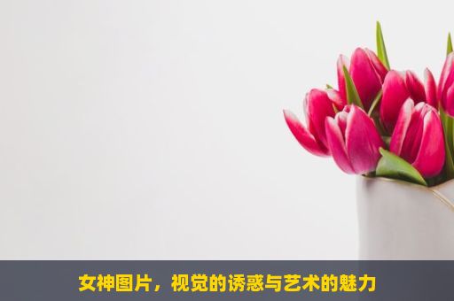 女神图片，视觉的诱惑与艺术的魅力