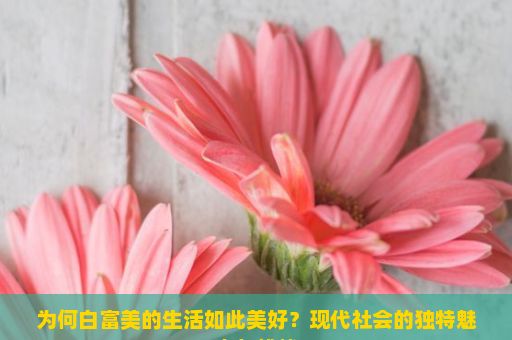 为何白富美的生活如此美好？现代社会的独特魅力与挑战