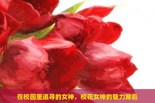 在校园里追寻的女神，校花女神的魅力背后