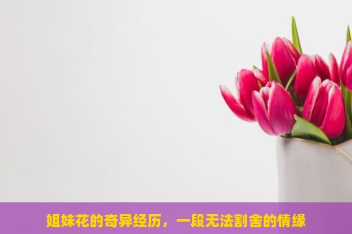 姐妹花的奇异经历，一段无法割舍的情缘