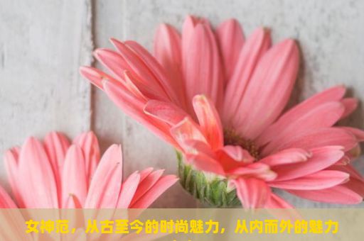 女神范，从古至今的时尚魅力，从内而外的魅力之光