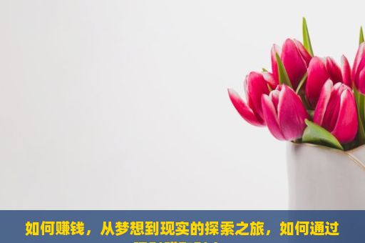 如何赚钱，从梦想到现实的探索之旅，如何通过理财赚取财富？