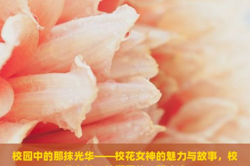 校园中的那抹光华——校花女神的魅力与故事，校花女神，校园里的一股清流