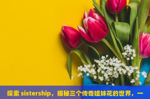 探索 sistership，揭秘三个传奇姐妹花的世界，一段无法割舍的情缘