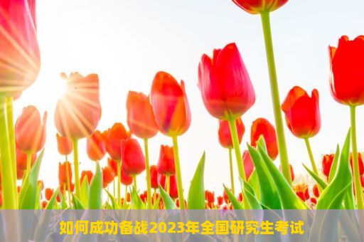 如何成功备战2023年全国研究生考试