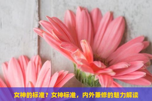 女神的标准？女神标准，内外兼修的魅力解读