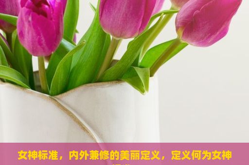 女神标准，内外兼修的美丽定义，定义何为女神标准？