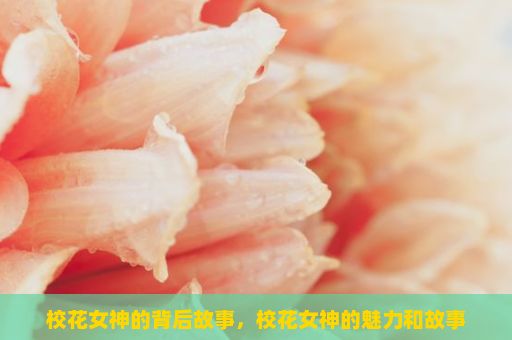 校花女神的背后故事，校花女神的魅力和故事