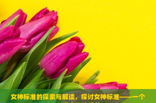 女神标准的探索与解读，探讨女神标准——一个多元文化的视角