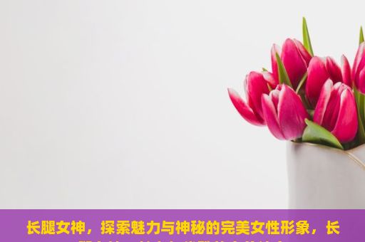 长腿女神，探索魅力与神秘的完美女性形象，长腿女神，魅力与优雅的完美结合