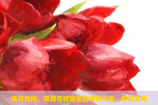 校花女神，隐藏在校园里的神秘力量，校花女神的魅力传奇