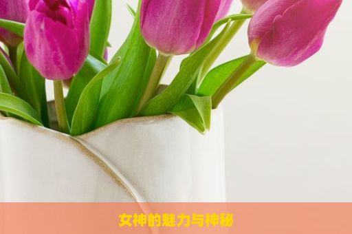 女神的魅力与神秘