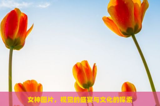 女神图片，视觉的盛宴与文化的探索