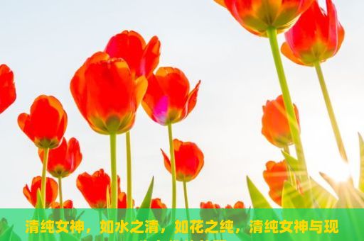 清纯女神，如水之清，如花之纯，清纯女神与现代女性的差距