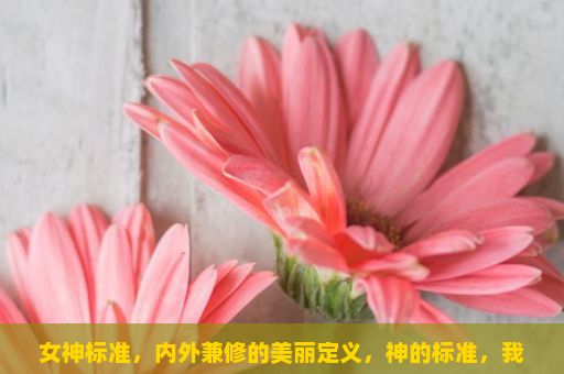 女神标准，内外兼修的美丽定义，神的标准，我们为何需要她？