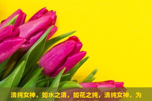 清纯女神，如水之清，如花之纯，清纯女神，为什么她能吸引人们？