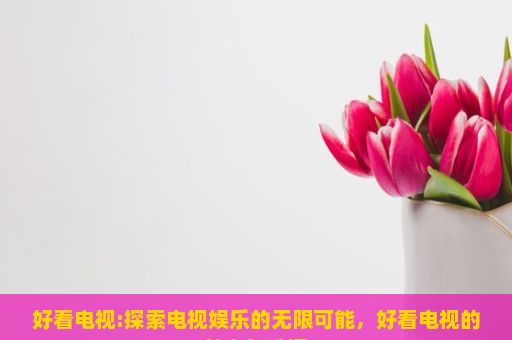 好看电视:探索电视娱乐的无限可能，好看电视的魅力与选择