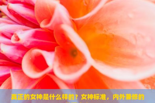 真正的女神是什么样的？女神标准，内外兼修的美丽定义