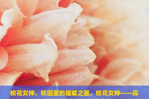 校花女神，校园里的璀璨之星，校花女神——探索校园魅力的独特视角