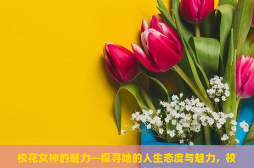 校花女神的魅力—探寻她的人生态度与魅力，校花女神的魅力与传奇