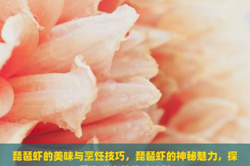 琵琶虾的美味与烹饪技巧，琵琶虾的神秘魅力，探索海洋中的美味佳肴